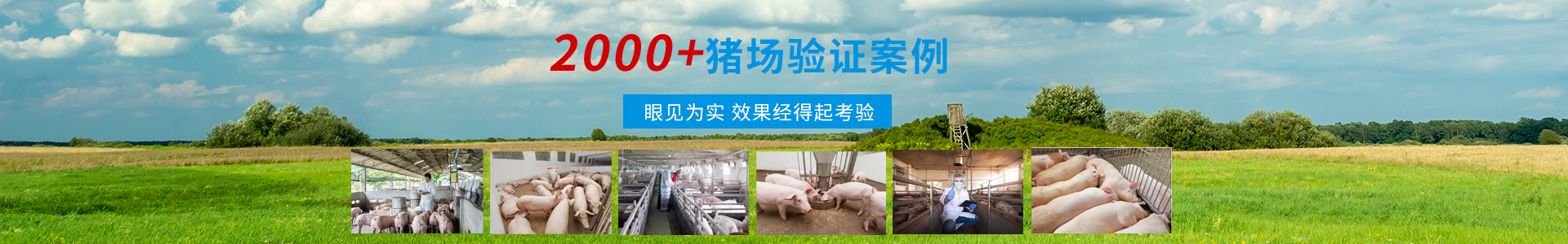 技術(shù)服務(wù)-商丘市森澳達(dá)動(dòng)物藥業(yè)有限公司