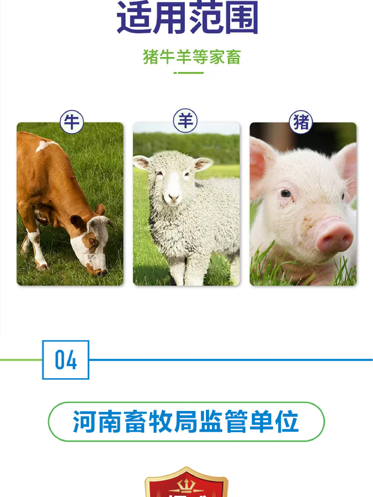 1713253480632033.jpg 詳情頁(yè)1.3 副本 2 (5).jpg