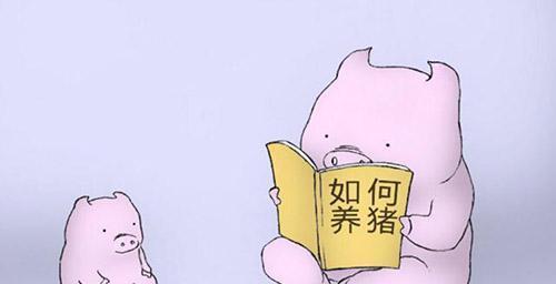 給豬用藥的幾大誤區(qū)！