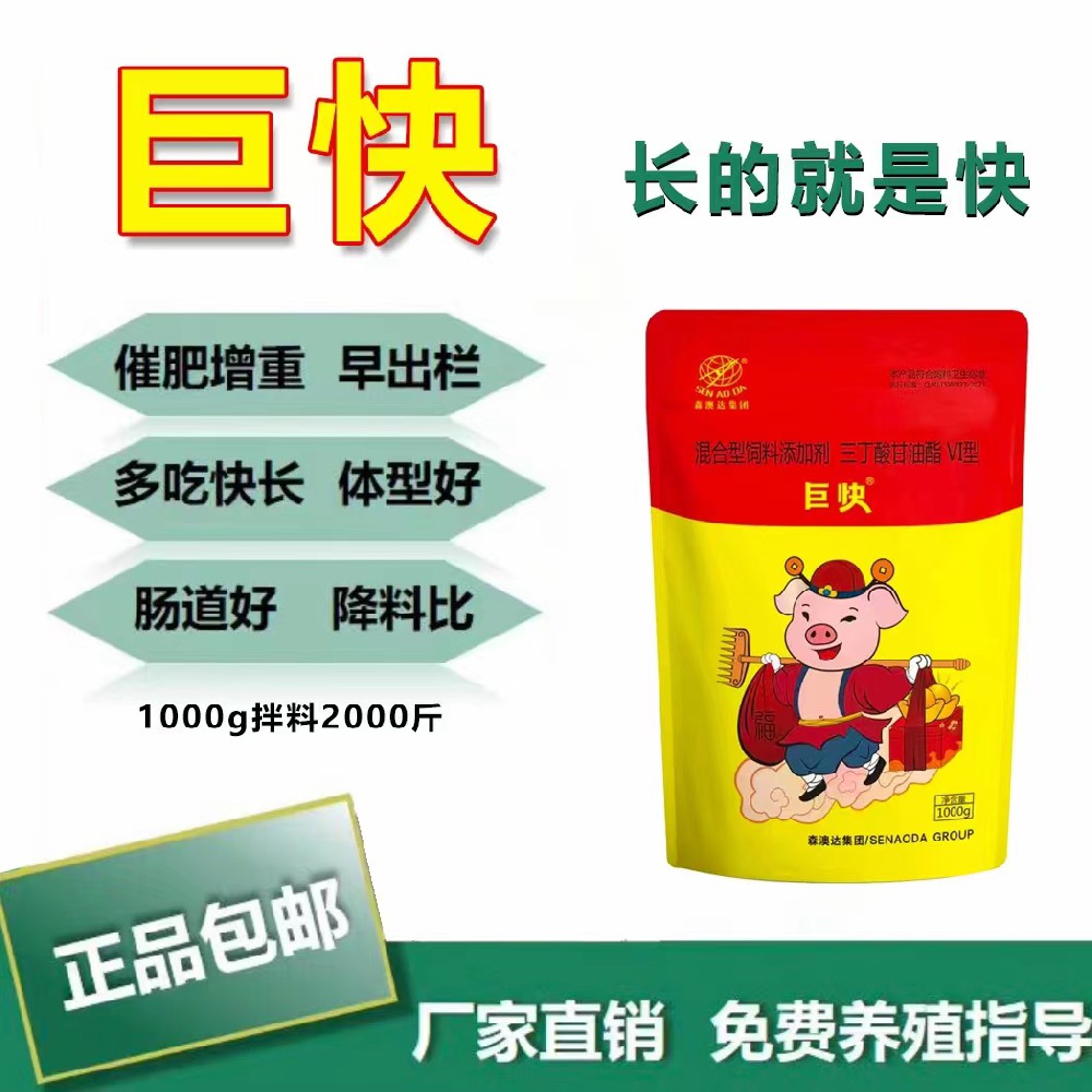 生豬如何高效催肥？